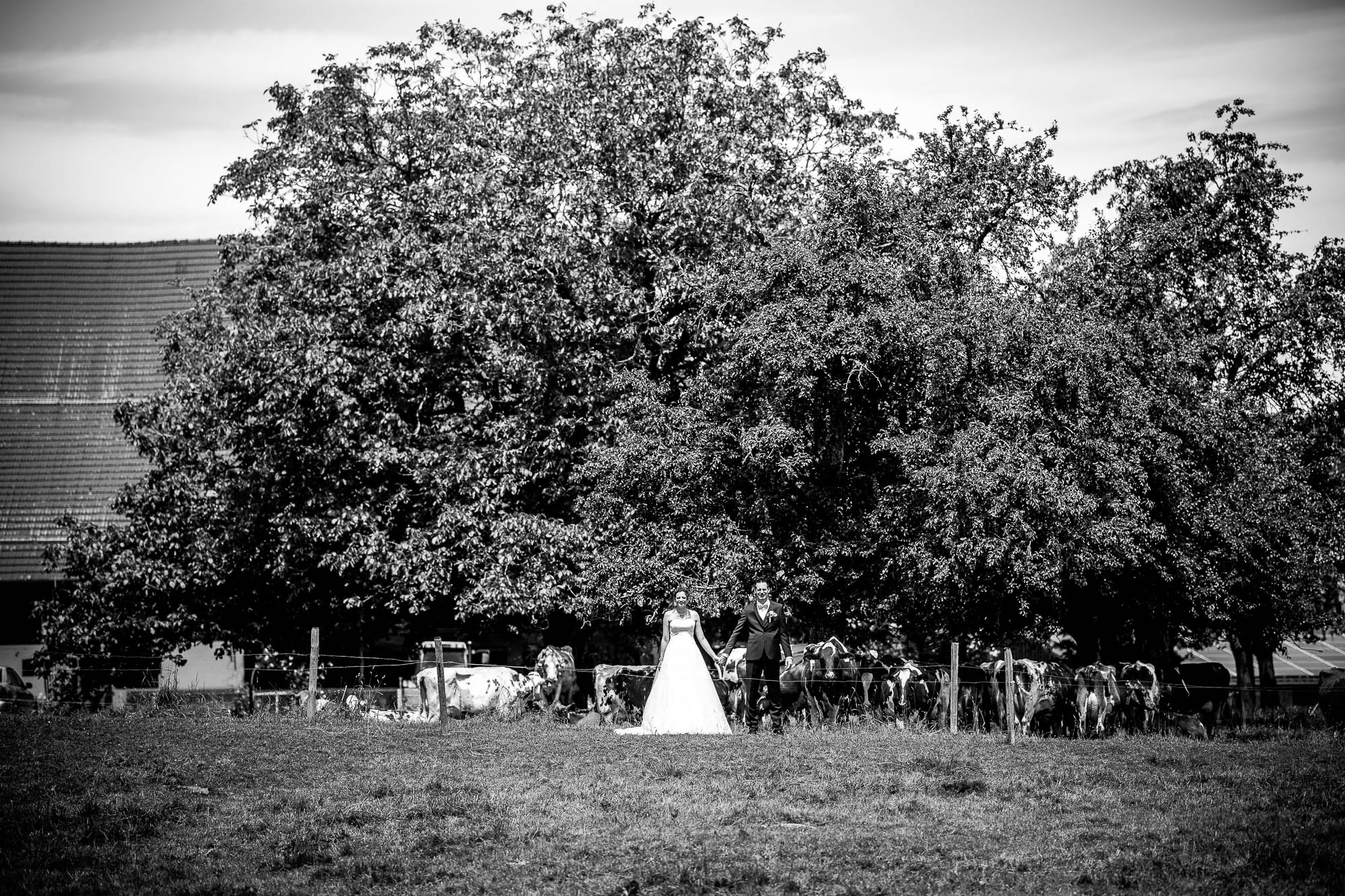 Export x3 1DX27517 Hochzeit 2020 Claudia & Marco 3